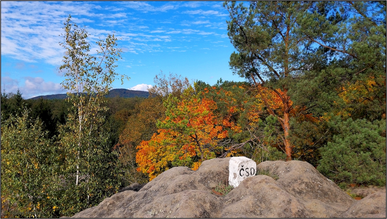 [Bild: 24-10-13_50_conv.jpg]